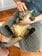 【娘の猫吸い】妻のマッサージを受ける猫の表情とは違ったギャップが可愛い