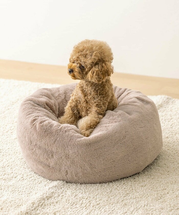 多くの猫と飼い主を魅了している3COINSの「ペットベッド」