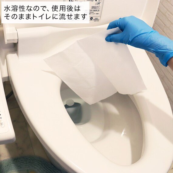 そのまま「大」で流せばゴミ捨てまで完了