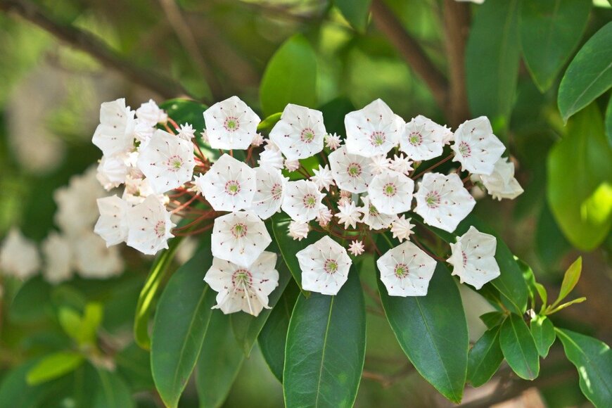 igaguri_1/istockphoto.com