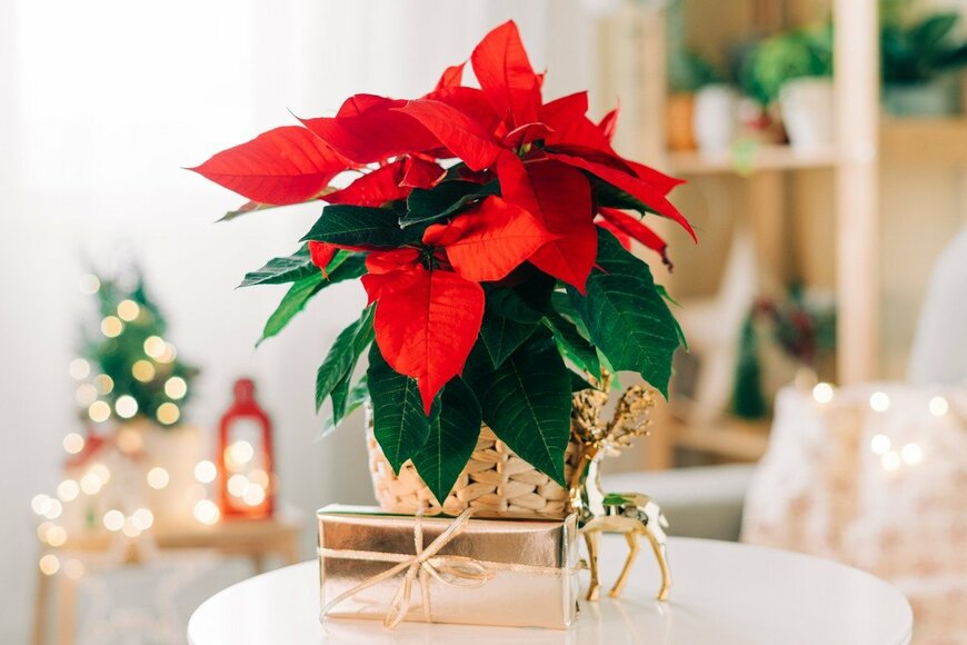 Anna Ostanina/istockphoto.com