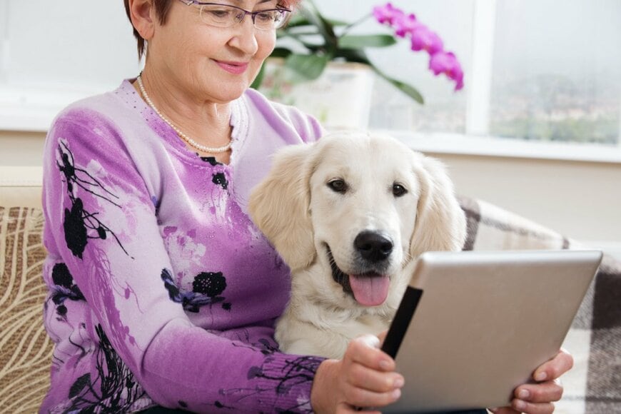 【年金は確定申告が必要なの？】「国民年金・厚生年金」を受給している人《確定申告が必要な人・不要な人》とは？