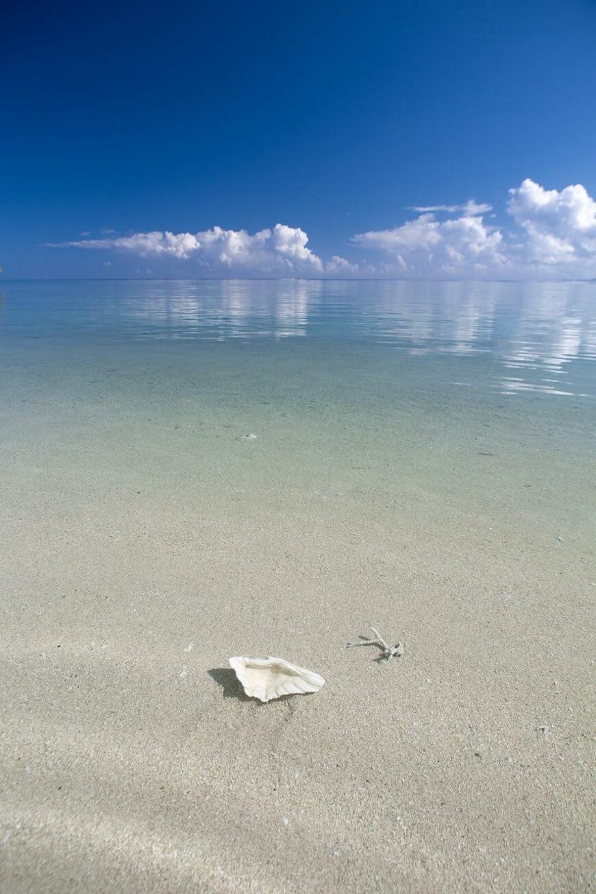 出所：@AtsushiOkinawa