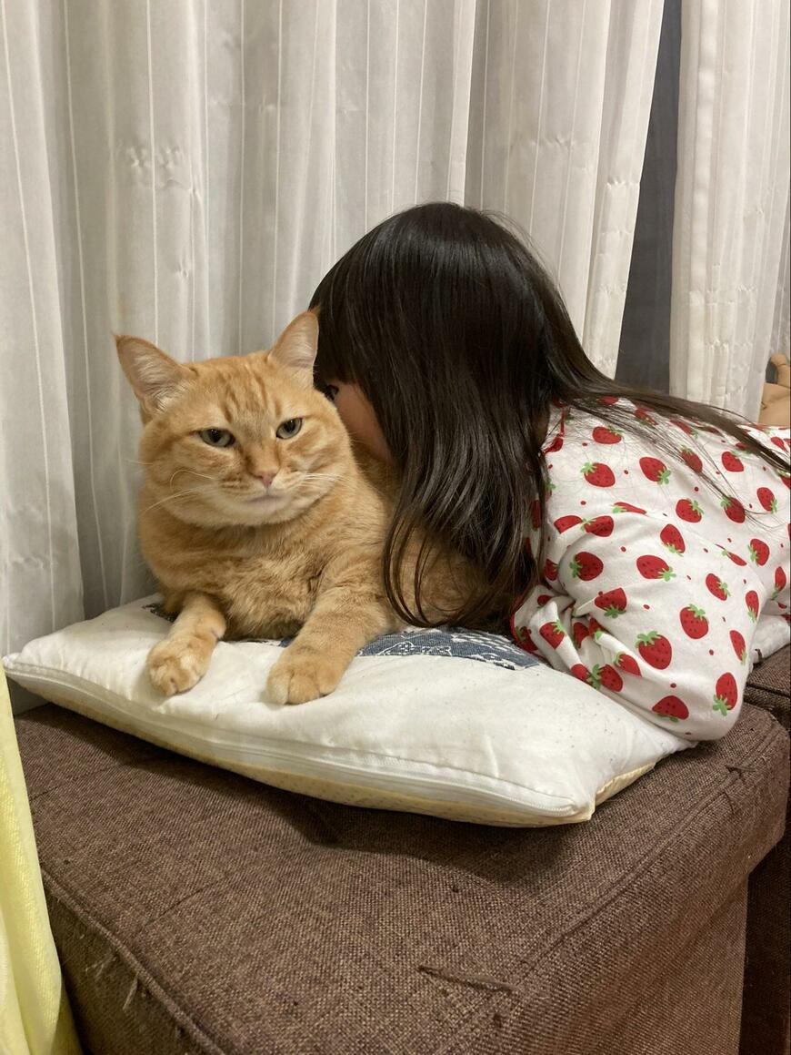 出所：@kagisuzu0531