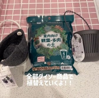 【100均DIY】ダイソーグッズだけの植替えテクニックに「100均パトロールやめられません」の声