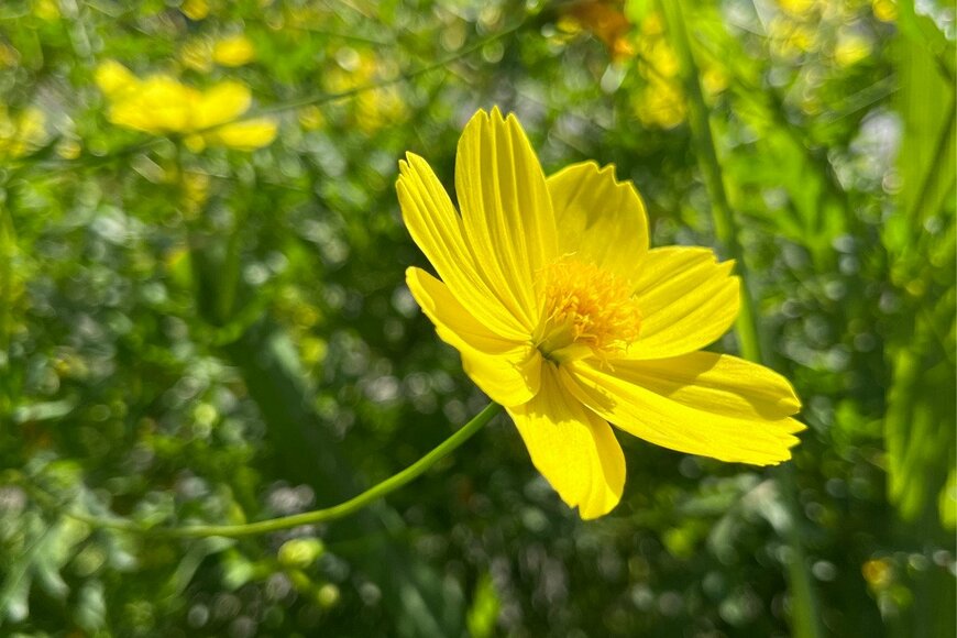 Lanywati Lanywati/istockphoto.com