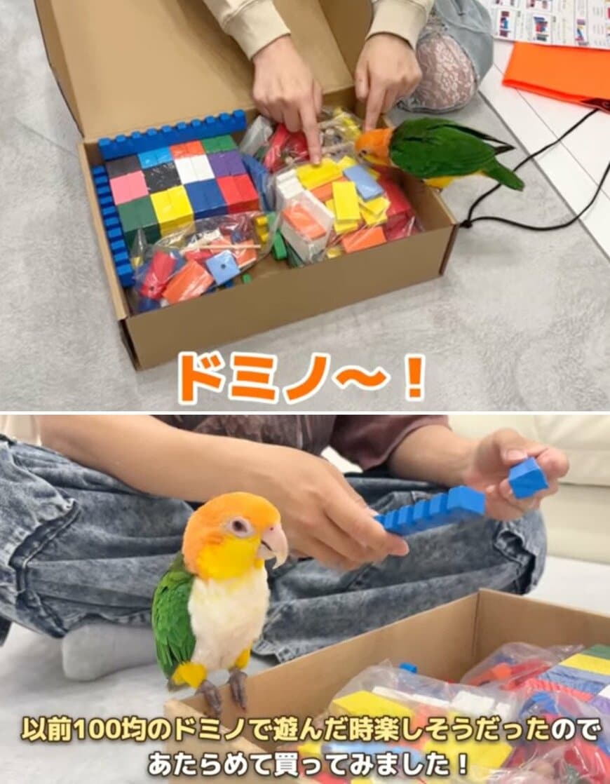 出所：@anz_omomiri