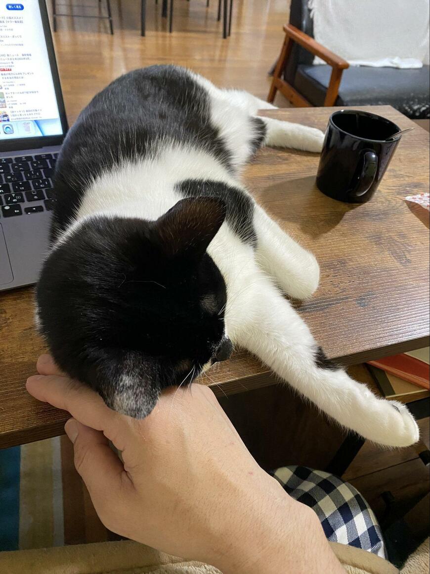 出所：@00shitemita