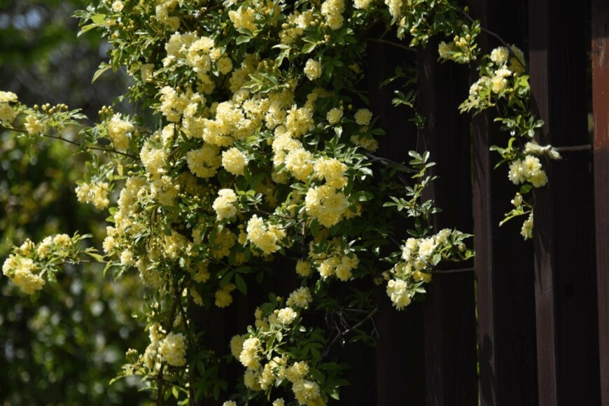 undefined undefined/istockphoto.com