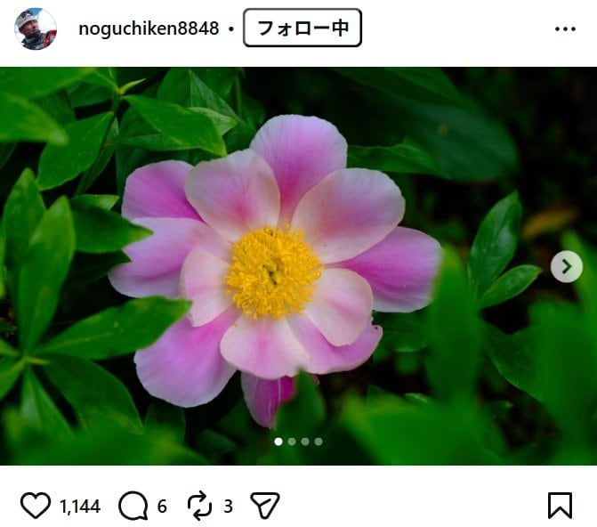 出所：野口健のInstagram（＠noguchiken8848） 参照日：2026年5月11日