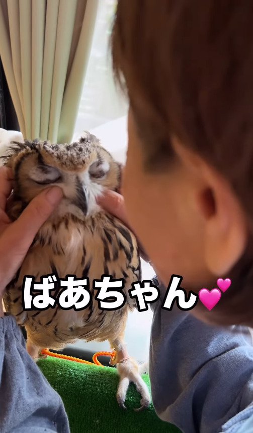 出所：@ba_chantolatte