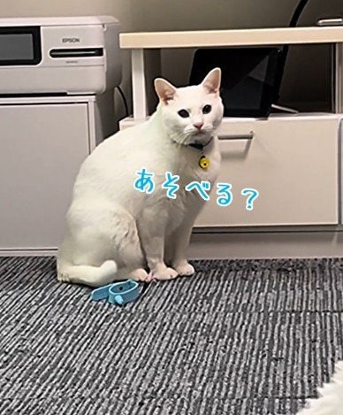 出所：@user5252430348026