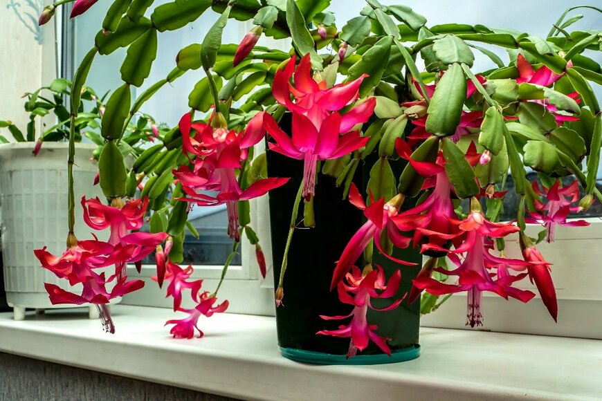 petrovval/istockphoto.com