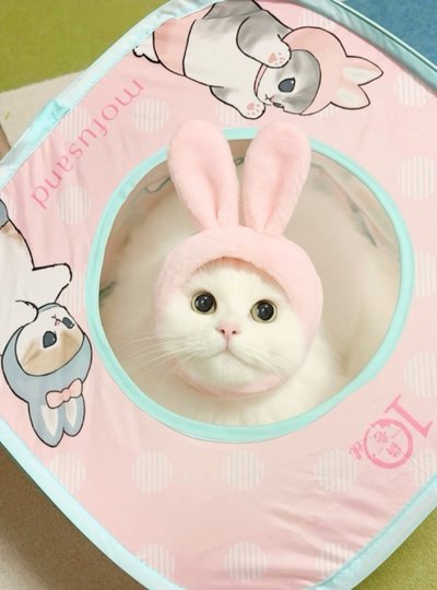 出所：@kochika222