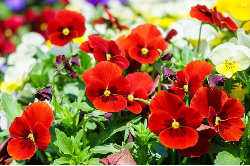 dar_st/istockphoto.com