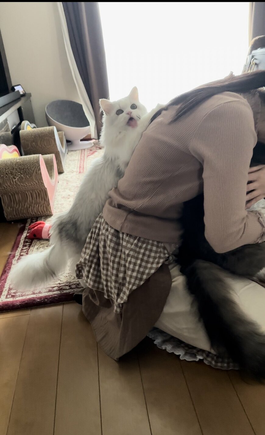 出所：@NEKOLAND13