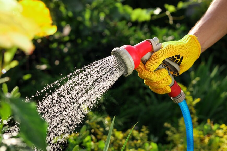 New Africa/shutterstock.com