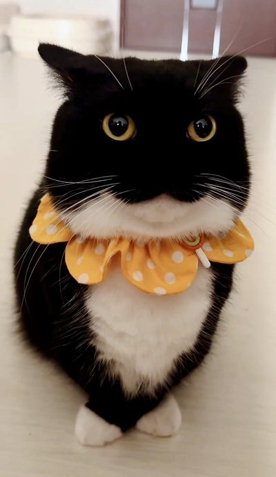 出所：@unicouniuni3