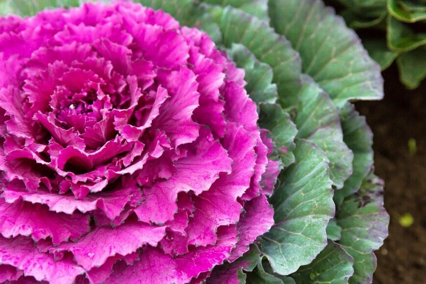 dourleak/istockphoto.com