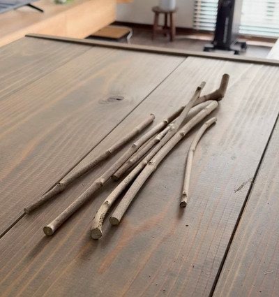 「めっちゃ可愛い〜！」庭の〈セイヨウニンジンボクの枝〉→クリスマスのおしゃれな〈ウォールツリー〉に大変身！「センス抜群」と話題