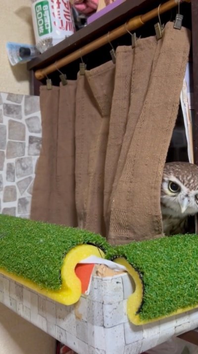 出所：@cr8673.hiro