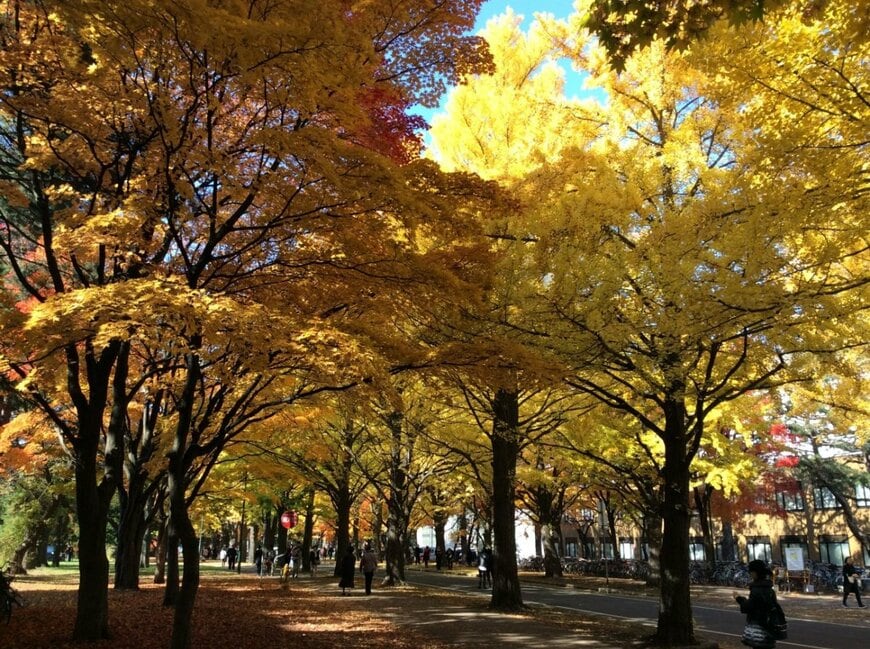 【たった3時間で変化】北海道大学のリアルに思わず目を疑う　「あっちゅうまですよね…」
