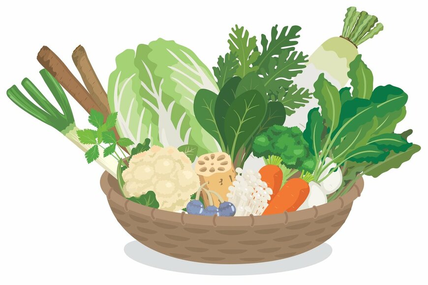 家庭菜園で育てる「オススメ秋冬野菜4選」簡単お世話で家計も助かる！