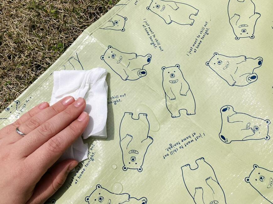 キャンドゥのピクニックグッズ「レジャーシート」