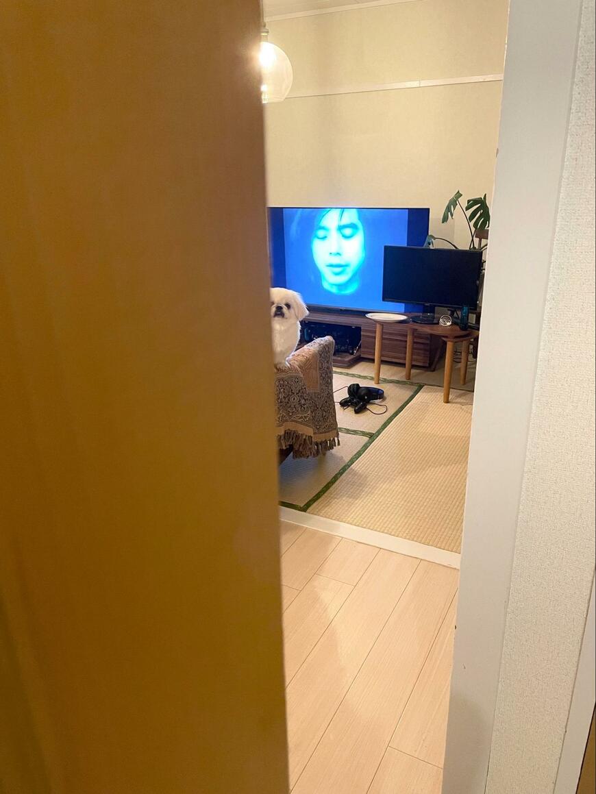 扉の向こうの犬