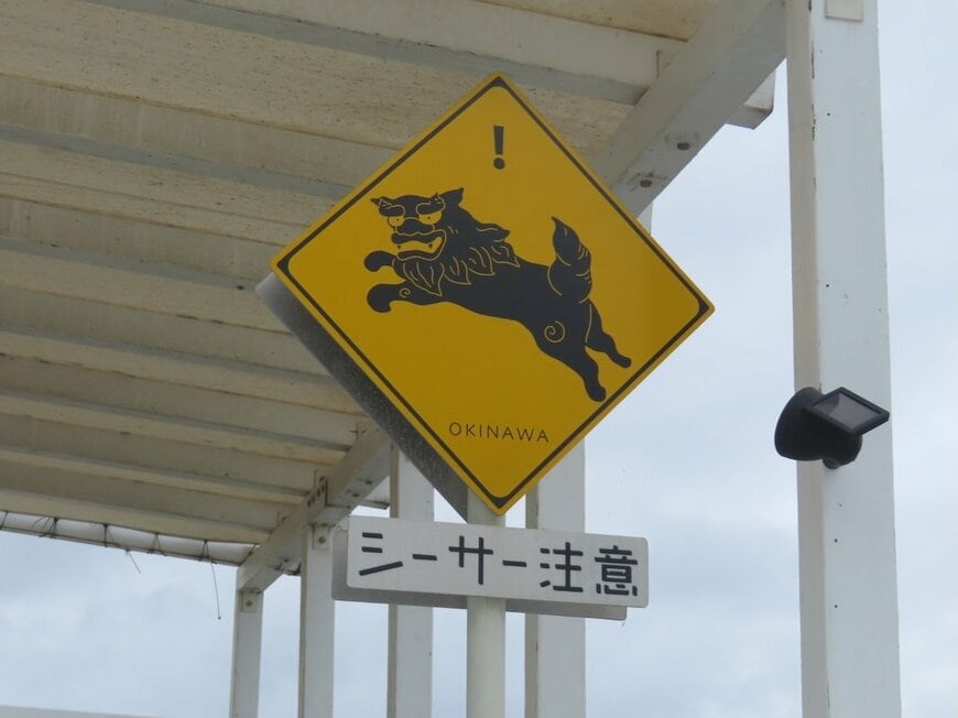 投稿の画像