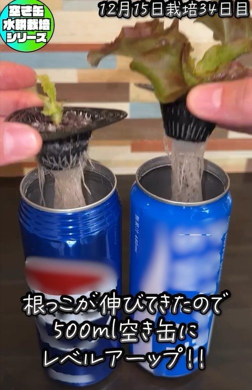 350ml缶から500ml缶に移動