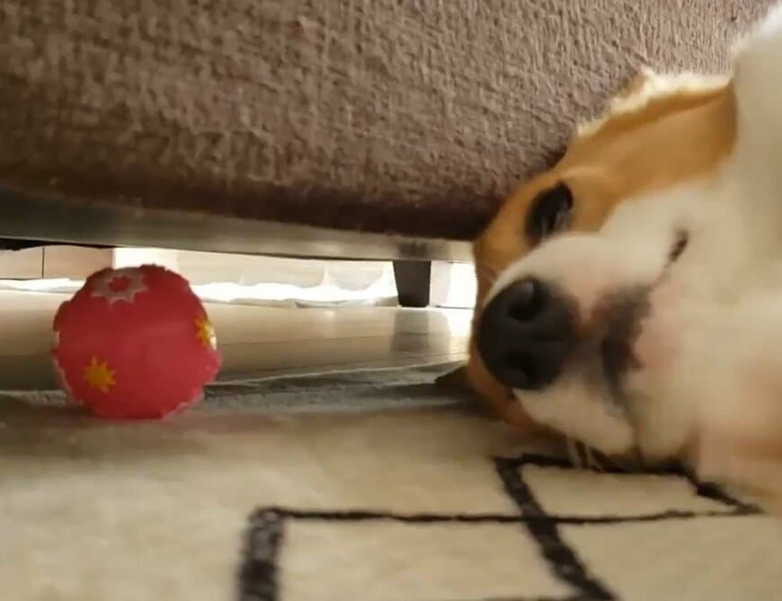 すぐ近くにあるのに取れない…