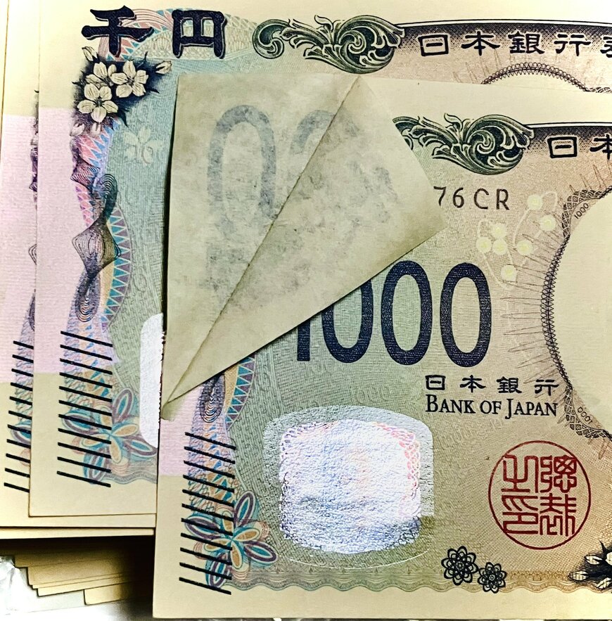 新千円札で見つけたメクレエラー