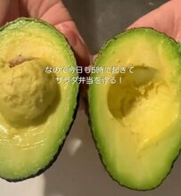 【在宅OL弁当】アボカドやトマトのサラダ弁当がカラフルでおいしそう！