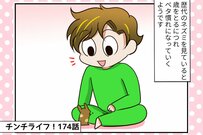 【チンチライフ第174話】デグーの本能はどこに!？棟梁ちゃんがハマる「カイカイの快感」とは