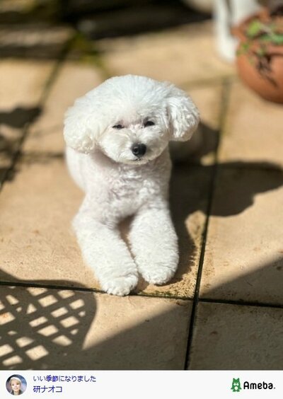 研ナオコが投稿した写真