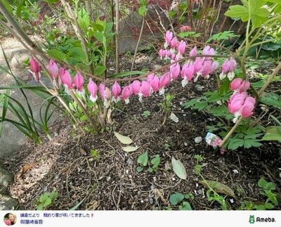 假屋崎省吾の公式ブログ投稿