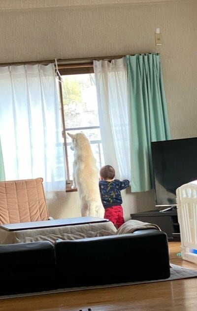 投稿の画像