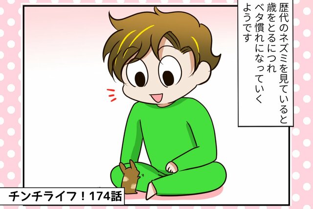 【チンチライフ第174話】デグーの本能はどこに!？棟梁ちゃんがハマる「カイカイの快感」とは