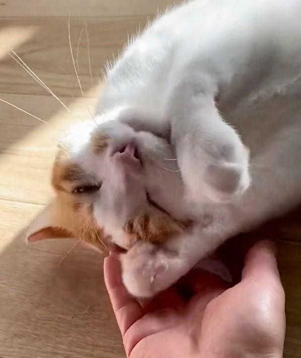 出所：@luna7taka9