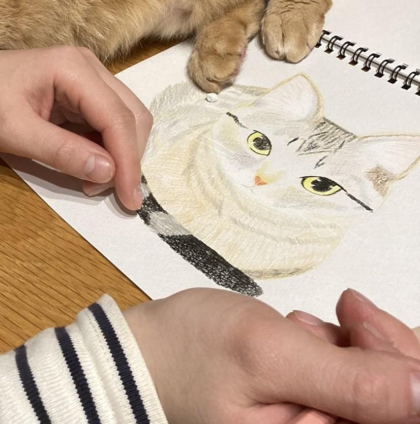 出所：@kagisuzu0531