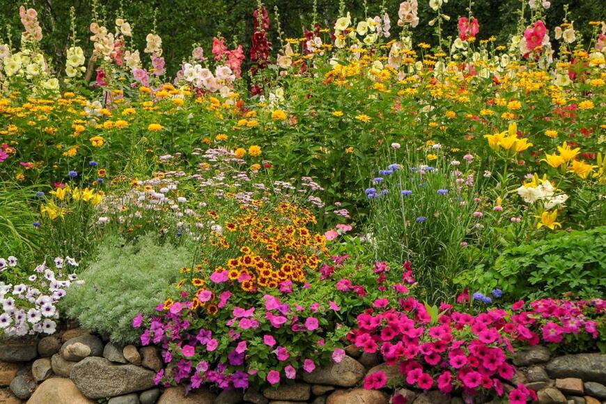 TammiMild/shutterstock.com