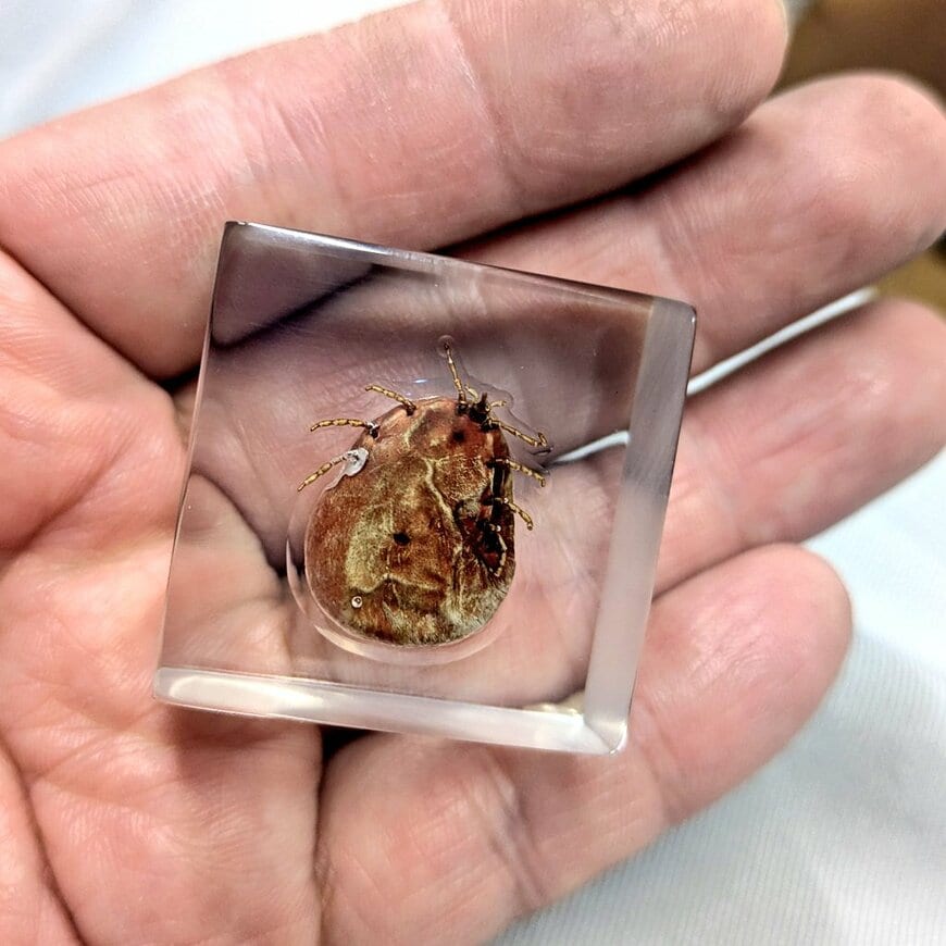 出所：@TakahiroNezu