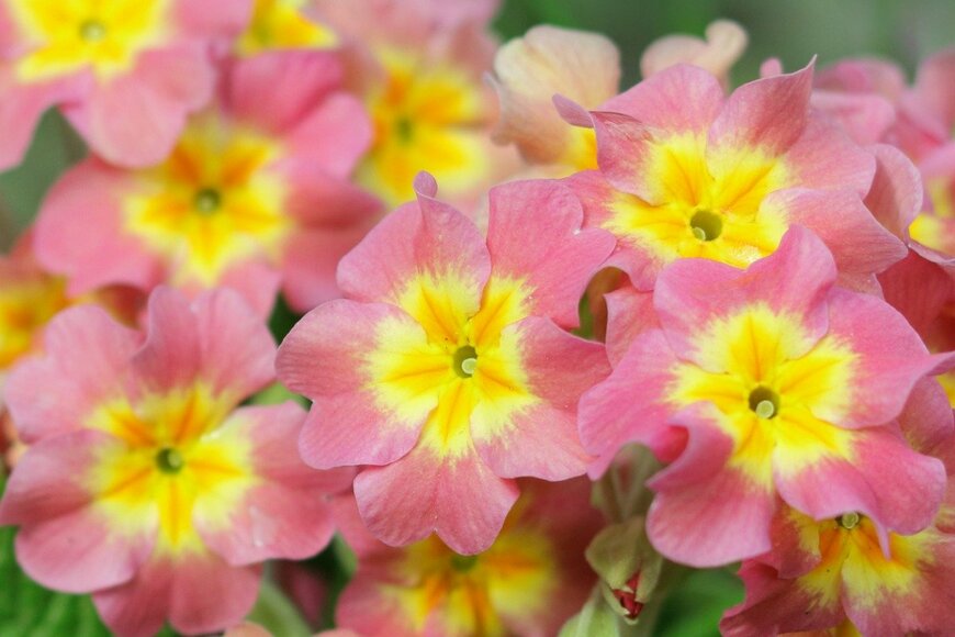 Mariia Romanyk/istockphoto.com