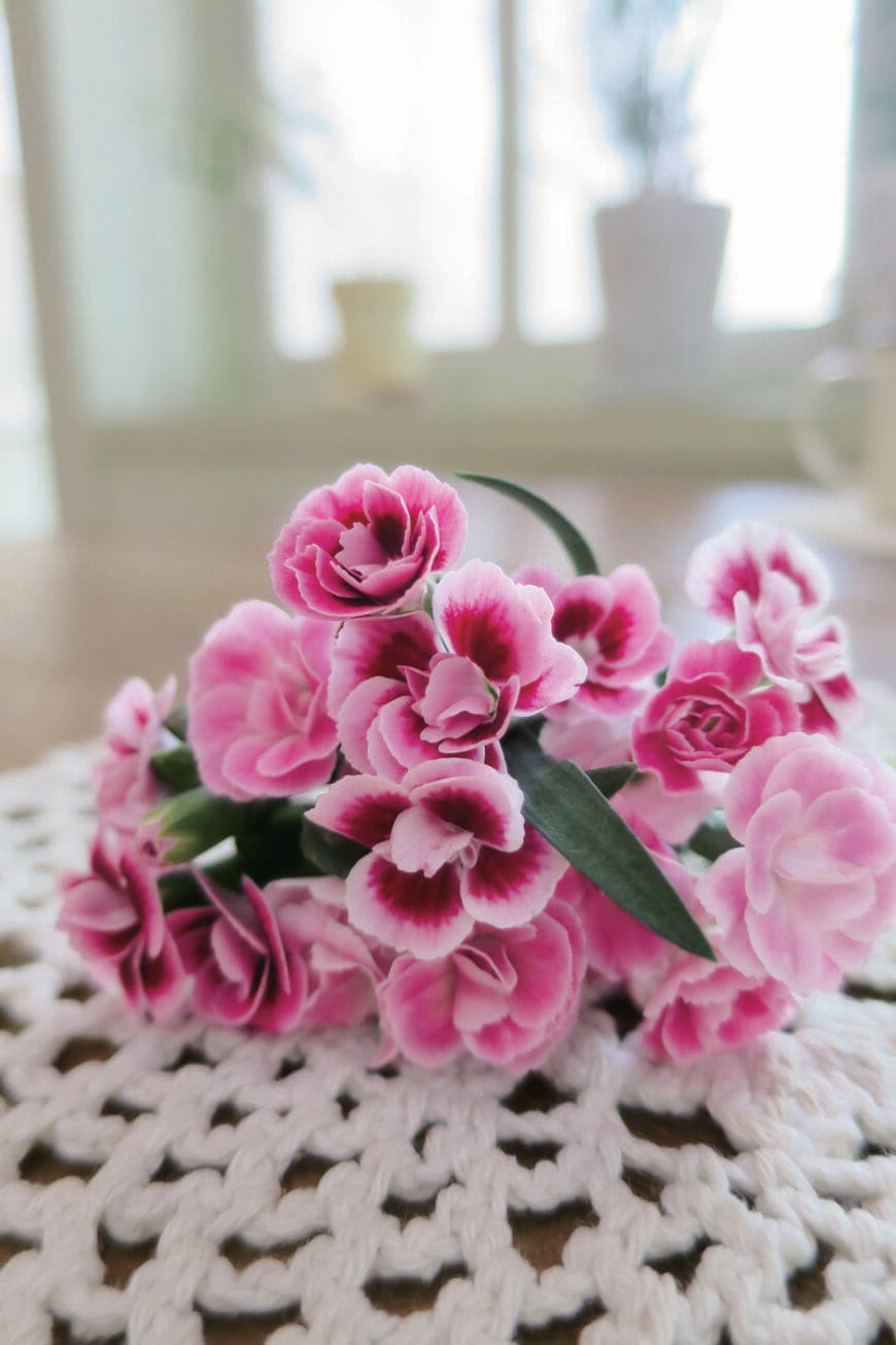 出所：サントリーフラワーズ ミーテ