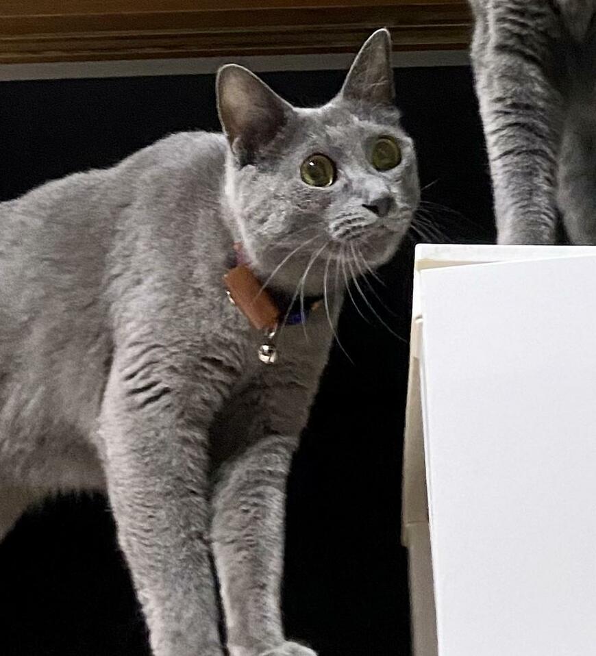 出所：@luna7taka9