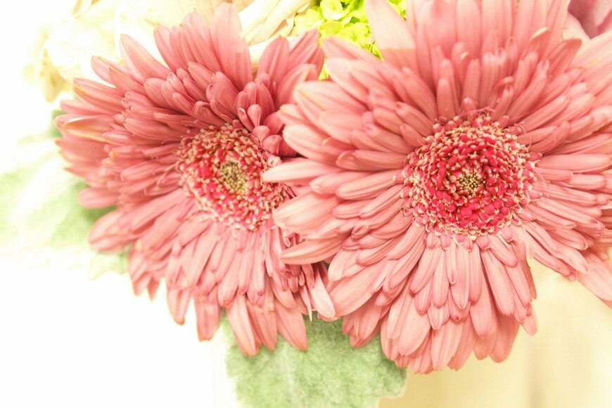 syan/istockphoto.com