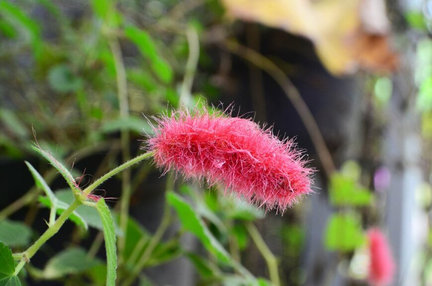 wahid hasyim asyari/istockphoto.com