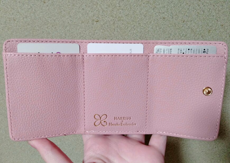 筆者撮影（宝島社、開運 三つ折り財布 2023）