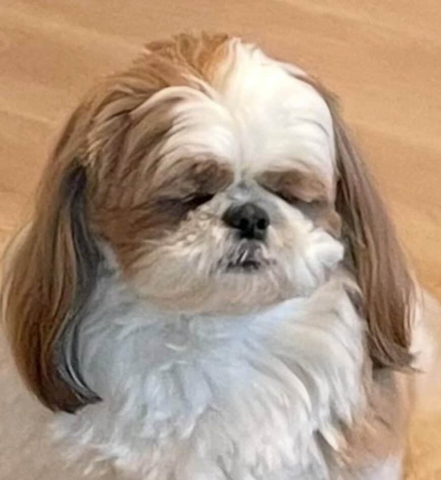 出所：@poco20220603